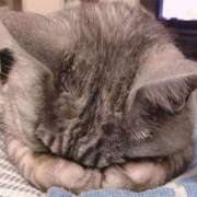 ヒメ日記 2025/06/28 12:07 投稿 桜咲ゆら ザイオン 会員制アロマエステ