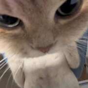 ヒメ日記 2025/11/19 01:29 投稿 桜咲ゆら ザイオン 会員制アロマエステ