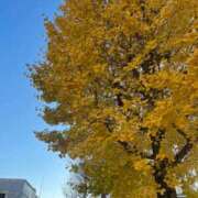 ヒメ日記 2025/11/28 10:09 投稿 桜咲ゆら ザイオン 会員制アロマエステ