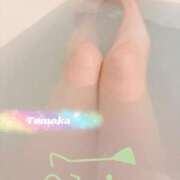 ヒメ日記 2025/07/29 18:21 投稿 草下 智香 CASA BIANCA（カーサ・ビアンカ）