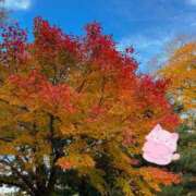 ヒメ日記 2025/11/23 23:51 投稿 草下 智香 CASA BIANCA（カーサ・ビアンカ）