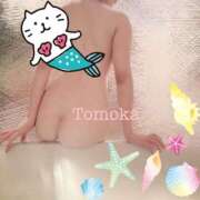 ヒメ日記 2026/06/24 23:48 投稿 草下 智香 CASA BIANCA（カーサ・ビアンカ）