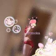 ヒメ日記 2026/09/02 16:27 投稿 草下 智香 CASA BIANCA（カーサ・ビアンカ）