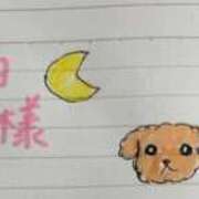 ヒメ日記 2025/11/09 00:35 投稿 みのり 細身×Kcup＝激熱！！ ウエスト・コム