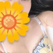 ヒメ日記 2025/08/21 23:27 投稿 思結/しゆ ANEJE～アネージュ池袋～(ユメオト)