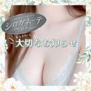 ヒメ日記 2025/08/02 17:20 投稿 愛宕もえか 五反田ヒーローズ（ユメオト）