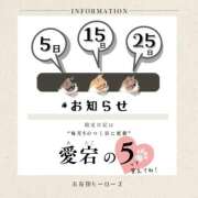 ヒメ日記 2026/04/05 12:01 投稿 愛宕もえか 五反田ヒーローズ（ユメオト）