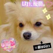 愛宕もえか ♡出勤しました♡ 五反田ヒーローズ（ユメオト）