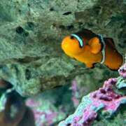 ヒメ日記 2025/06/23 12:07 投稿 ふうか まつど女学園