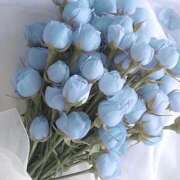 ヒメ日記 2025/07/19 22:16 投稿 ふうか まつど女学園