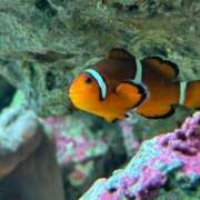 ヒメ日記 2025/09/12 16:12 投稿 ふうか まつど女学園