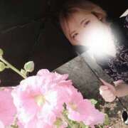 ヒメ日記 2025/07/01 17:08 投稿 海老名　ハナ やみつきエステ2nd札幌店