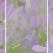 ヒメ日記 2025/07/06 08:38 投稿 海老名　ハナ やみつきエステ2nd札幌店