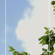 ヒメ日記 2025/07/08 11:38 投稿 海老名　ハナ やみつきエステ2nd札幌店