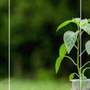 ヒメ日記 2025/07/09 12:20 投稿 海老名　ハナ やみつきエステ2nd札幌店