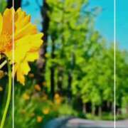 ヒメ日記 2025/07/15 13:28 投稿 海老名　ハナ やみつきエステ2nd札幌店