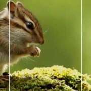 ヒメ日記 2025/07/16 17:38 投稿 海老名　ハナ やみつきエステ2nd札幌店