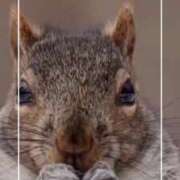 ヒメ日記 2025/07/17 12:58 投稿 海老名　ハナ やみつきエステ2nd札幌店