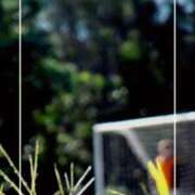 ヒメ日記 2025/07/19 14:19 投稿 海老名　ハナ やみつきエステ2nd札幌店