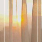 ヒメ日記 2025/07/20 20:28 投稿 海老名　ハナ やみつきエステ2nd札幌店