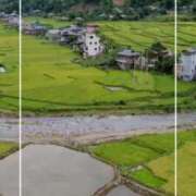 ヒメ日記 2025/07/29 12:48 投稿 海老名　ハナ やみつきエステ2nd札幌店