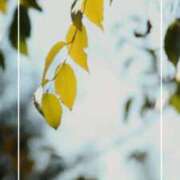 ヒメ日記 2025/09/19 12:12 投稿 海老名　ハナ やみつきエステ2nd札幌店