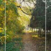 ヒメ日記 2025/09/20 16:28 投稿 海老名　ハナ やみつきエステ2nd札幌店