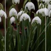 ヒメ日記 2026/02/02 20:35 投稿 海老名　ハナ やみつきエステ2nd札幌店