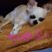 ヒメ日記 2026/02/09 21:55 投稿 海老名　ハナ やみつきエステ2nd札幌店