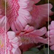 ヒメ日記 2026/04/13 18:35 投稿 海老名　ハナ やみつきエステ2nd札幌店