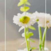 ヒメ日記 2026/05/13 20:15 投稿 海老名　ハナ やみつきエステ2nd札幌店