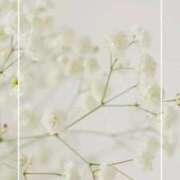 ヒメ日記 2026/05/14 19:35 投稿 海老名　ハナ やみつきエステ2nd札幌店