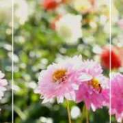 ヒメ日記 2026/08/08 18:57 投稿 海老名　ハナ やみつきエステ2nd札幌店