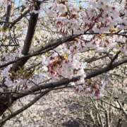 ヒメ日記 2026/04/26 21:49 投稿 まな SOAPLAND LOVE FACTORY