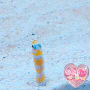 ヒメ日記 2026/04/13 16:27 投稿 もえか シロガネーテ白金(ユメオト)