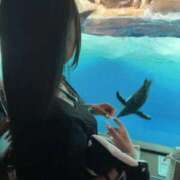 ヒメ日記 2026/04/10 07:59 投稿 なつき エデンR