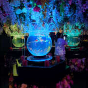 ヒメ日記 2025/08/27 00:45 投稿 みち 性腺熟女100％（デリヘル市場）