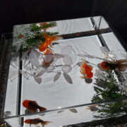 ヒメ日記 2025/08/28 23:45 投稿 みち 性腺熟女100％（デリヘル市場）