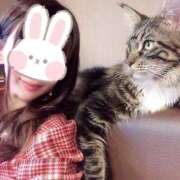 ヒメ日記 2025/07/07 07:58 投稿 りあ 上野ハイブリッドマッサージ