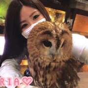 ヒメ日記 2026/02/18 15:58 投稿 りあ 上野ハイブリッドマッサージ