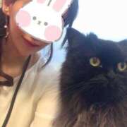 ヒメ日記 2025/07/01 09:28 投稿 りあ 品川ハイブリッドマッサージ