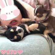 ヒメ日記 2026/02/08 10:18 投稿 りあ 品川ハイブリッドマッサージ