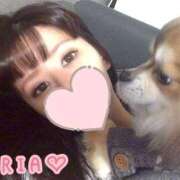 ヒメ日記 2026/03/14 15:48 投稿 りあ 品川ハイブリッドマッサージ