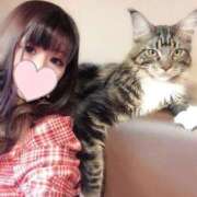 ヒメ日記 2026/03/30 01:08 投稿 りあ 品川ハイブリッドマッサージ