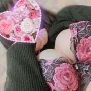 ヒメ日記 2026/04/02 00:55 投稿 みやび先生 ピンクスター