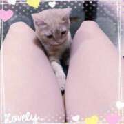 ヒメ日記 2025/12/13 13:35 投稿 みゆ 池袋夢幻