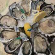 ヒメ日記 2025/12/29 15:15 投稿 そよ 神田ハンドメイド