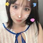 ヒメ日記 2025/06/27 15:06 投稿 つばめ ルネッサンス