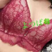 ヒメ日記 2025/10/28 14:41 投稿 よつば クラブレア南大阪