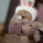 ヒメ日記 2025/07/19 11:02 投稿 ゆい でりどす